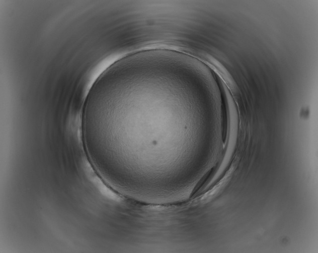 X0000093240812200709261707