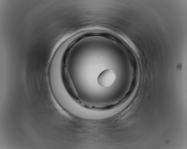 X0000093240813200709261707