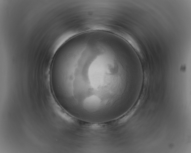 X0000093240814200709261707