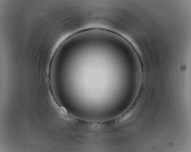 X0000093240815200709261707