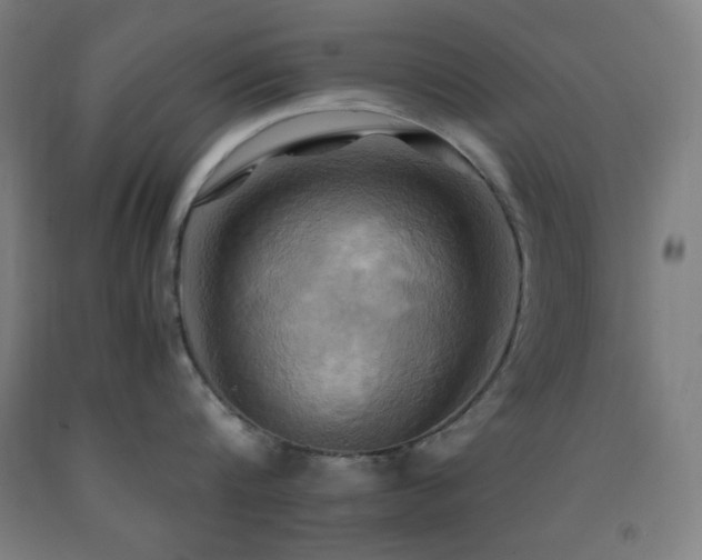 X0000093240816200709261707