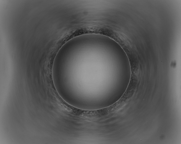 X0000093240817200709261706