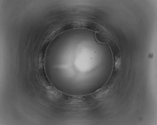 X0000093240819200709261706