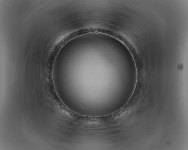 X0000093240823200709261707