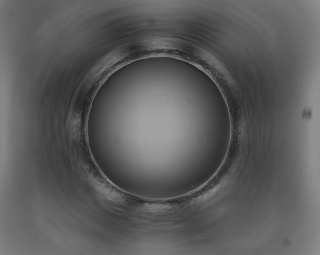 X0000093240825200709261707