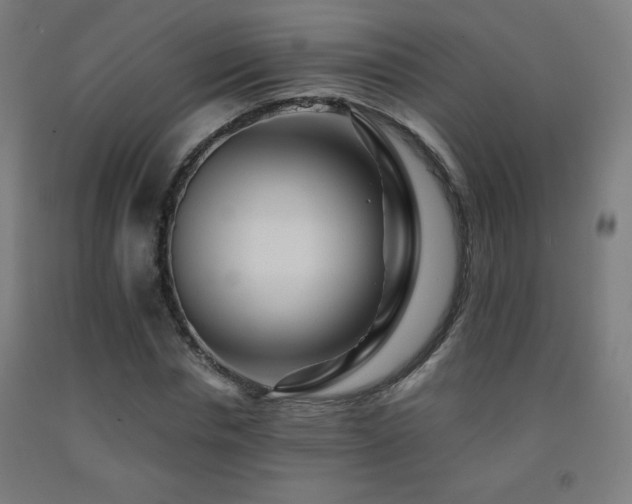 X0000093240826200709261707