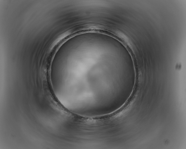 X0000093240827200709261707