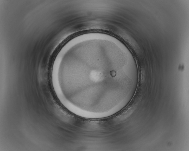 X0000093240828200709261707