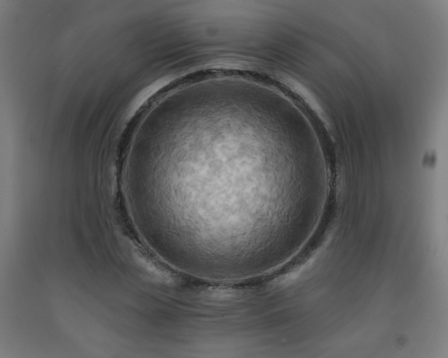 X0000093240829200709261707