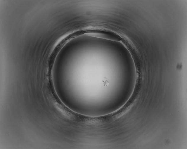 X0000093240830200709261707
