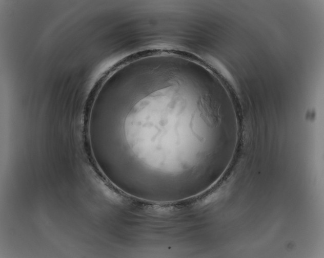 X0000093240831200709261707