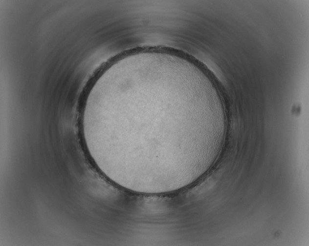 X0000093240832200709261707