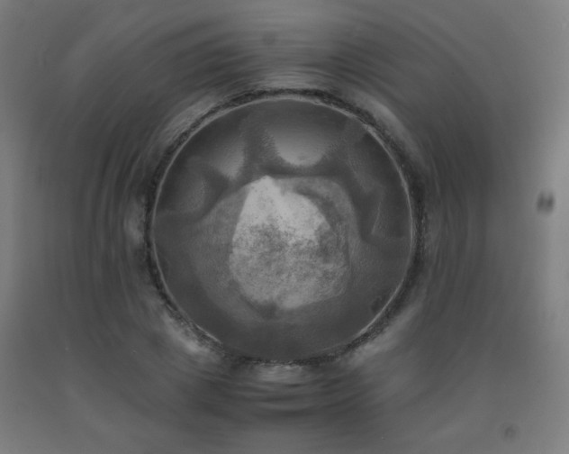 X0000093240833200709261707