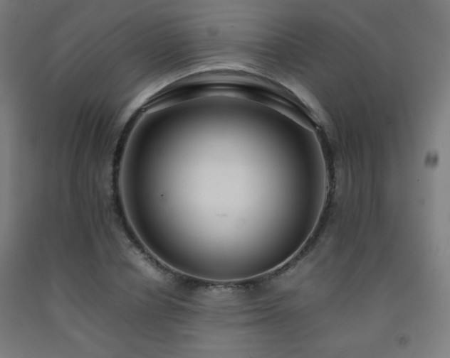 X0000093240834200709261707