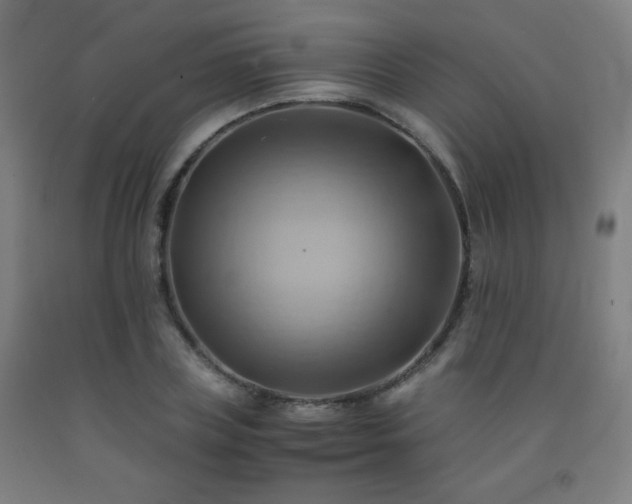 X0000093240835200709261707