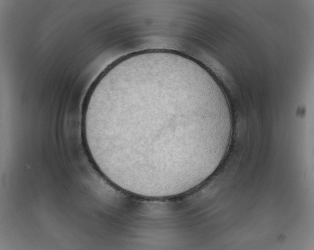X0000093240836200709261707