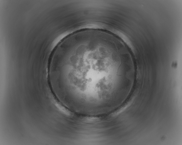 X0000093240837200709261707