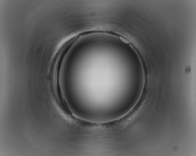 X0000093240838200709261707