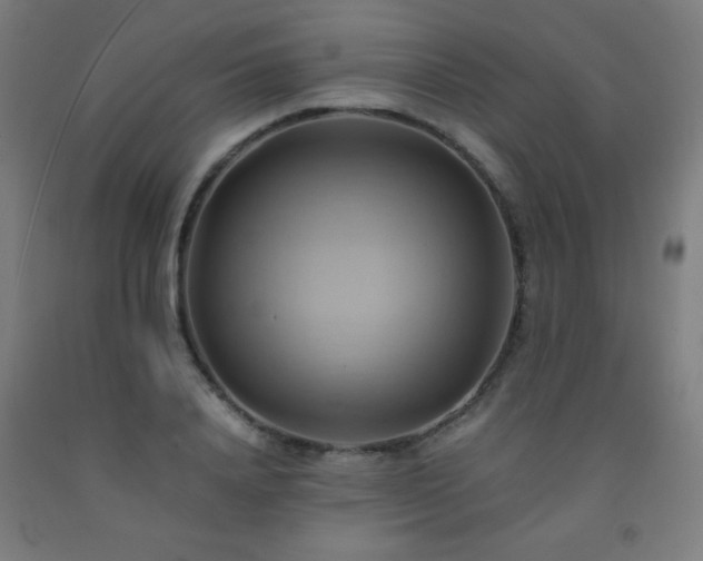 X0000093240840200709261707