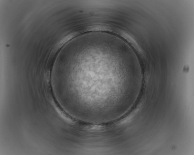 X0000093240841200709261707