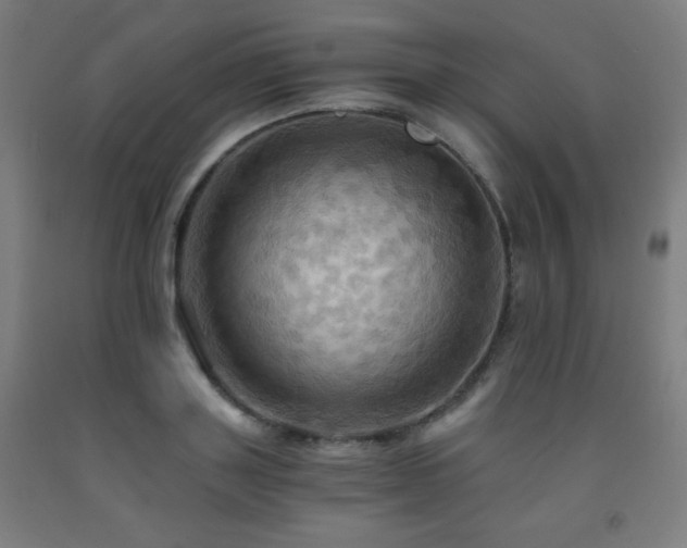 X0000093240843200709261707
