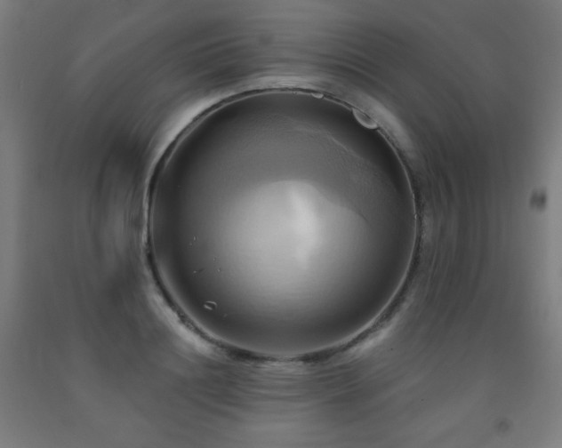 X0000093240844200709261707