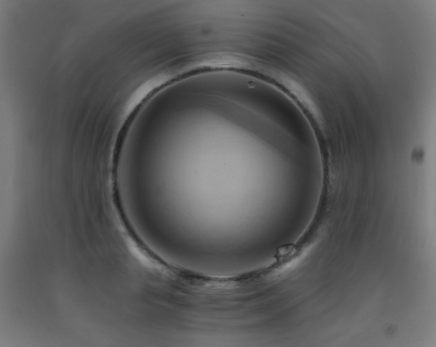 X0000093240845200709261707