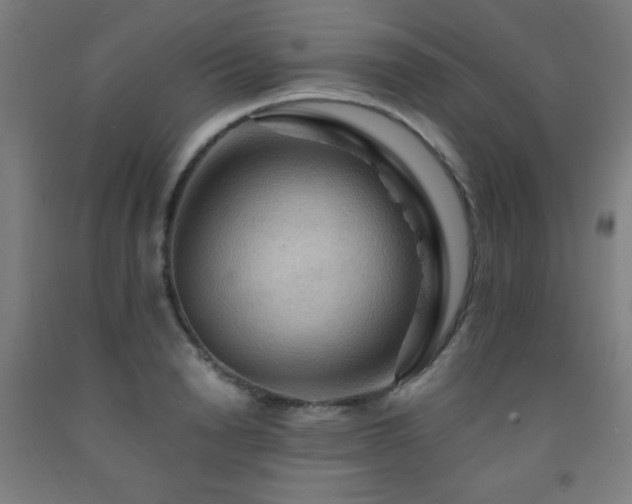 X0000093240846200709261707