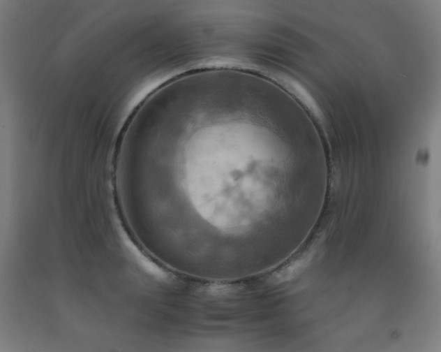 X0000093240847200709261707