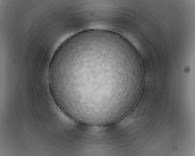 X0000093240848200709261707