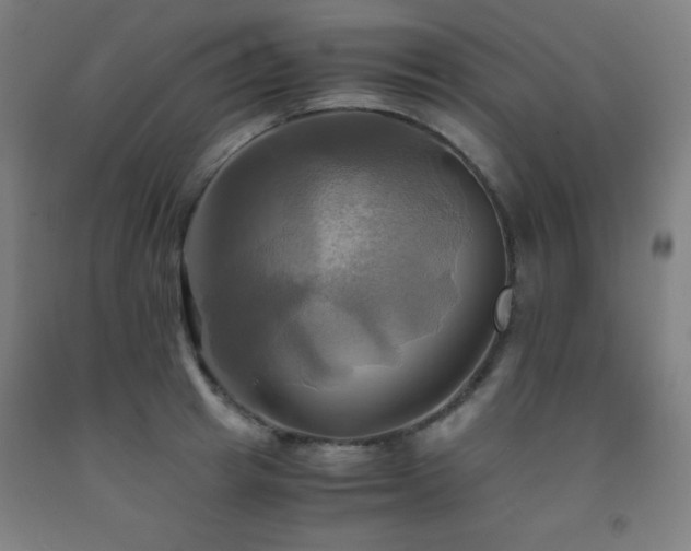 X0000093240849200709261707