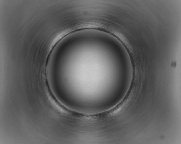 X0000093240850200709261707