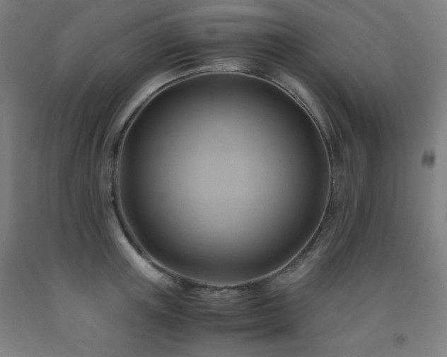 X0000093240851200709261707