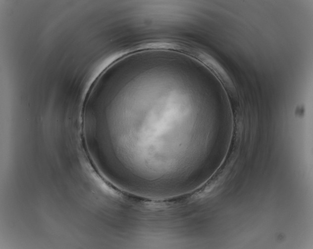 X0000093240852200709261707