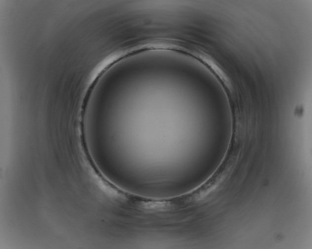 X0000093240853200709261707