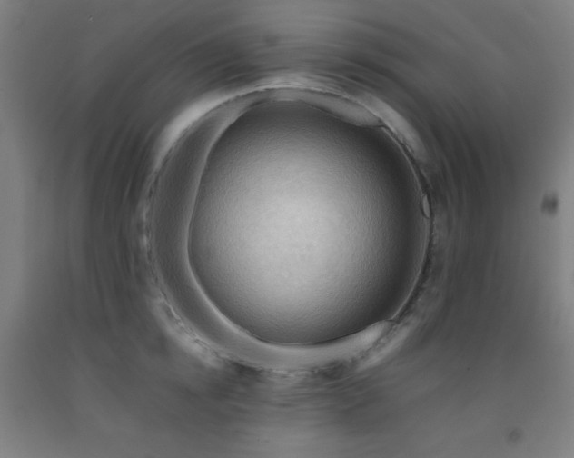 X0000093240854200709261707