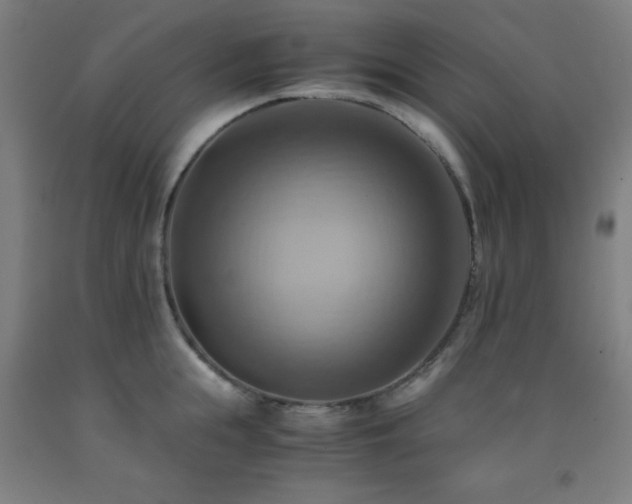X0000093240855200709261707