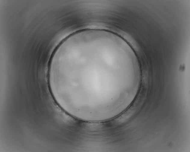 X0000093240856200709261707