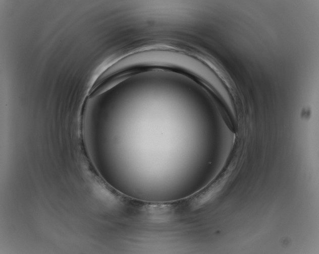 X0000093240858200709261707