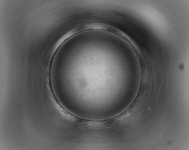 X0000093240861200709261707