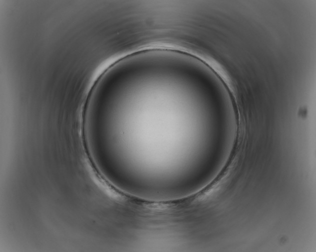 X0000093240862200709261707