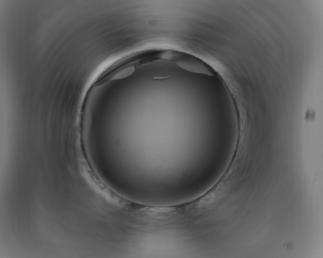 X0000093240864200709261707