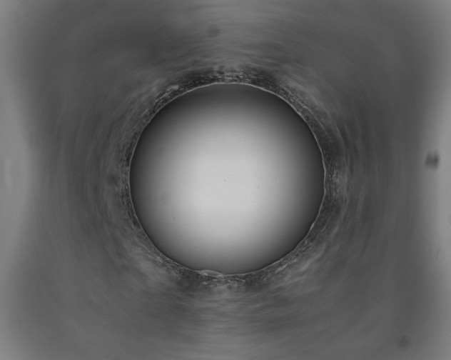 X0000093240865200709261706