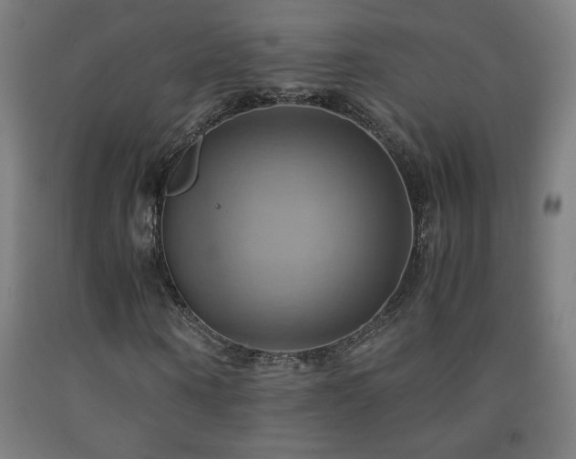 X0000093240866200709261706