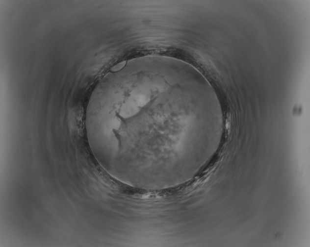 X0000093240867200709261706