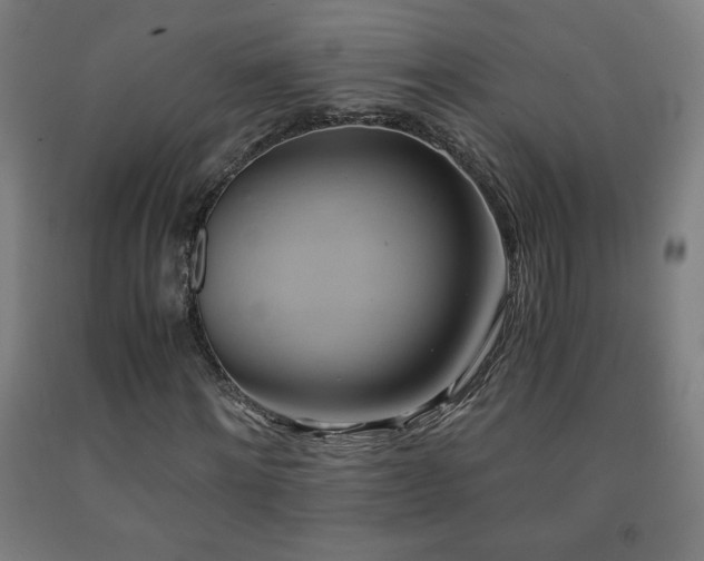 X0000093240868200709261706