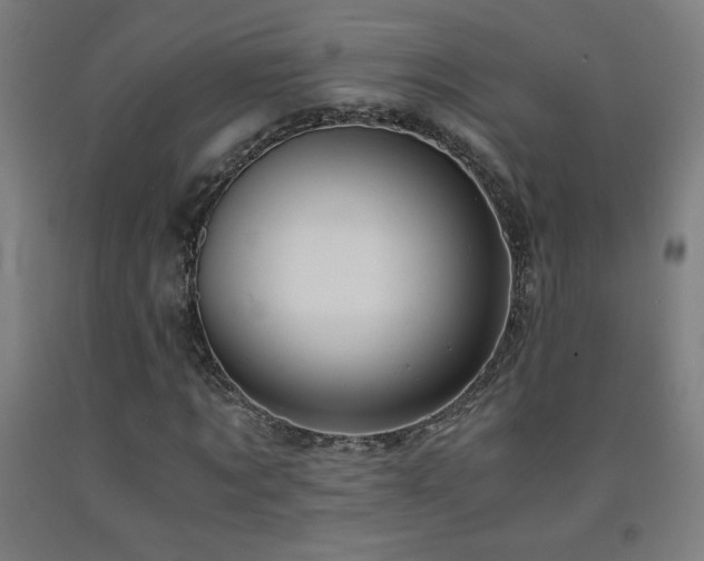 X0000093240869200709261706