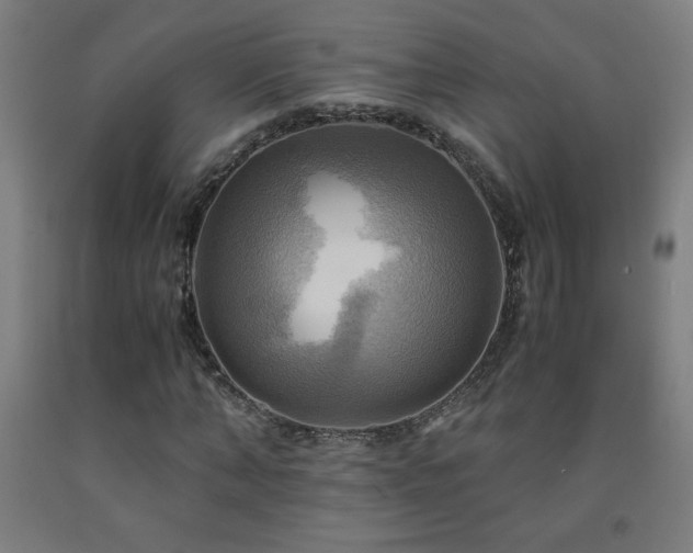 X0000093240870200709261706