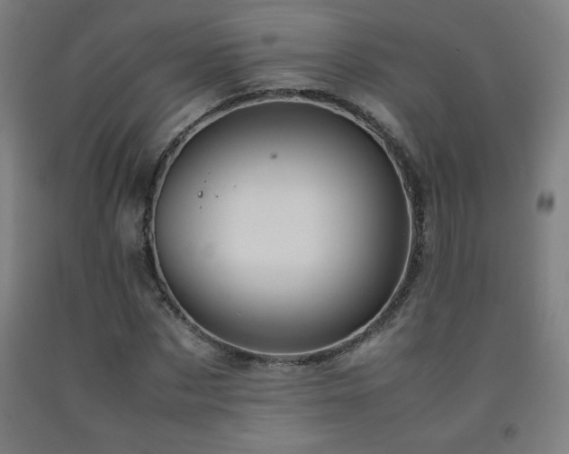 X0000093240873200709261706