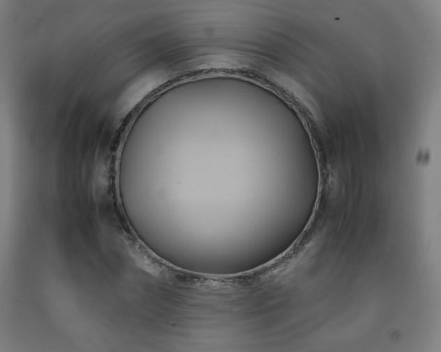 X0000093240874200709261706